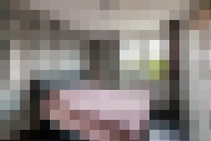 Timmerliedengilde 58 Dronten thumbnail 4