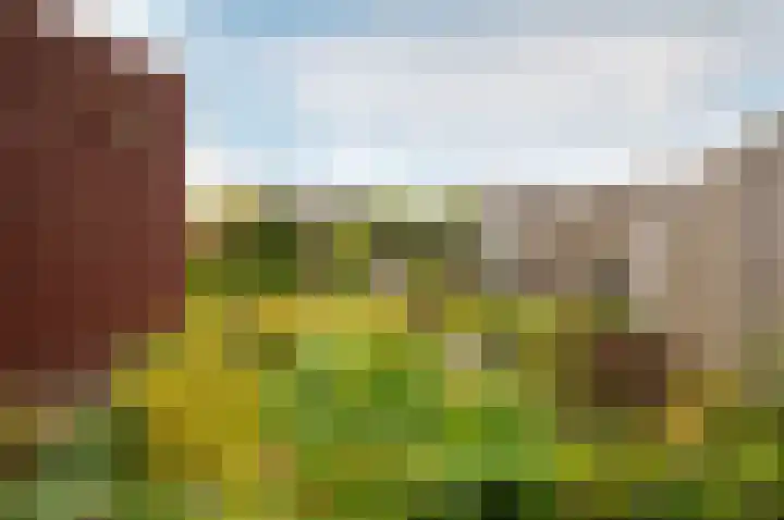 Timmerliedengilde 58 Dronten thumbnail 40