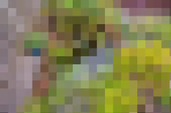 Timmerliedengilde 58 Dronten thumbnail 41