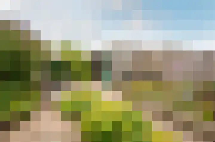 Timmerliedengilde 58 Dronten thumbnail 42