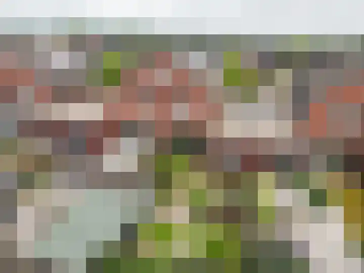 Timmerliedengilde 58 Dronten thumbnail 45