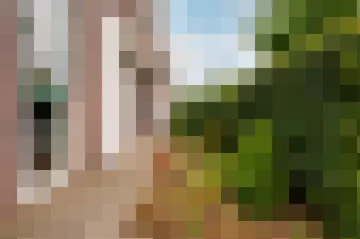 Timmerliedengilde 58 Dronten thumbnail 47