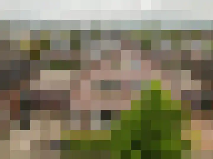 Timmerliedengilde 58 Dronten thumbnail 48