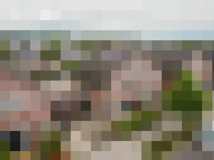 Timmerliedengilde 58 Dronten thumbnail 50