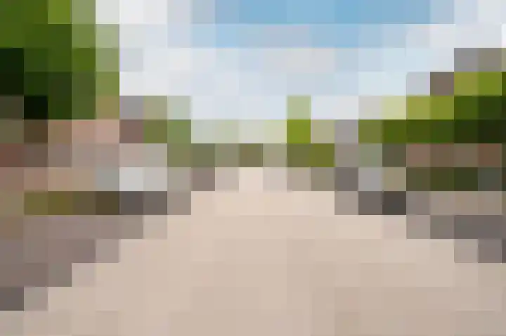 Timmerliedengilde 58 Dronten thumbnail 51