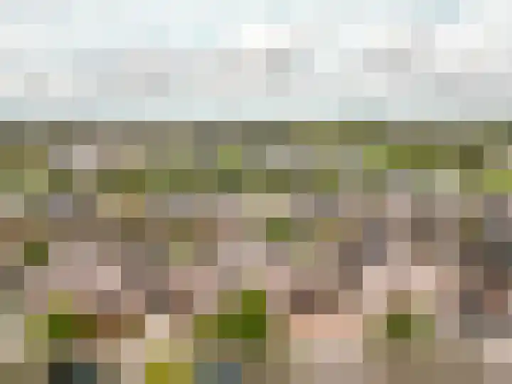 Timmerliedengilde 58 Dronten thumbnail 53