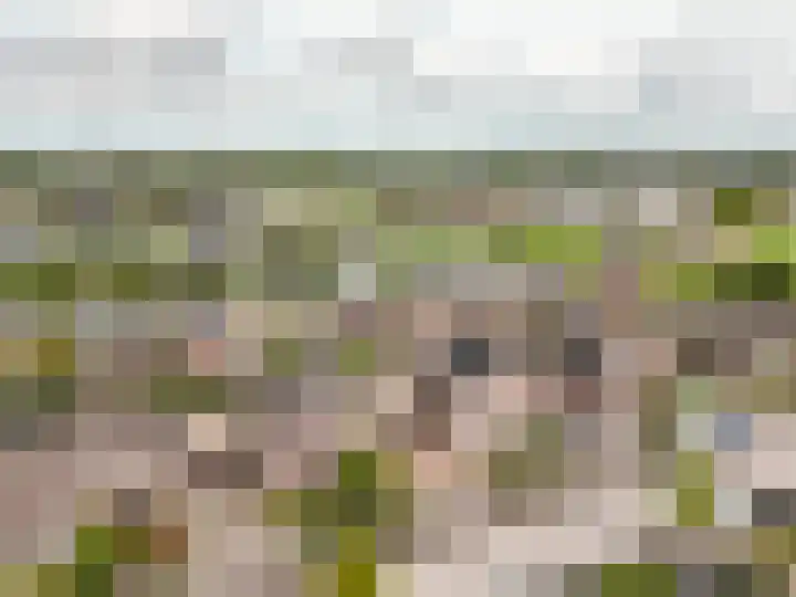 Timmerliedengilde 58 Dronten thumbnail 54
