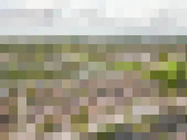 Timmerliedengilde 58 Dronten thumbnail 55