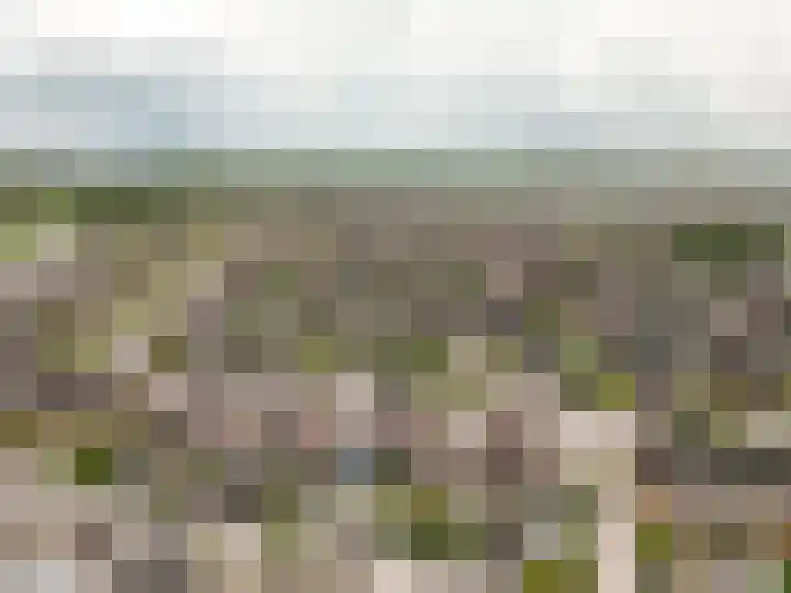 Timmerliedengilde 58 Dronten thumbnail 56