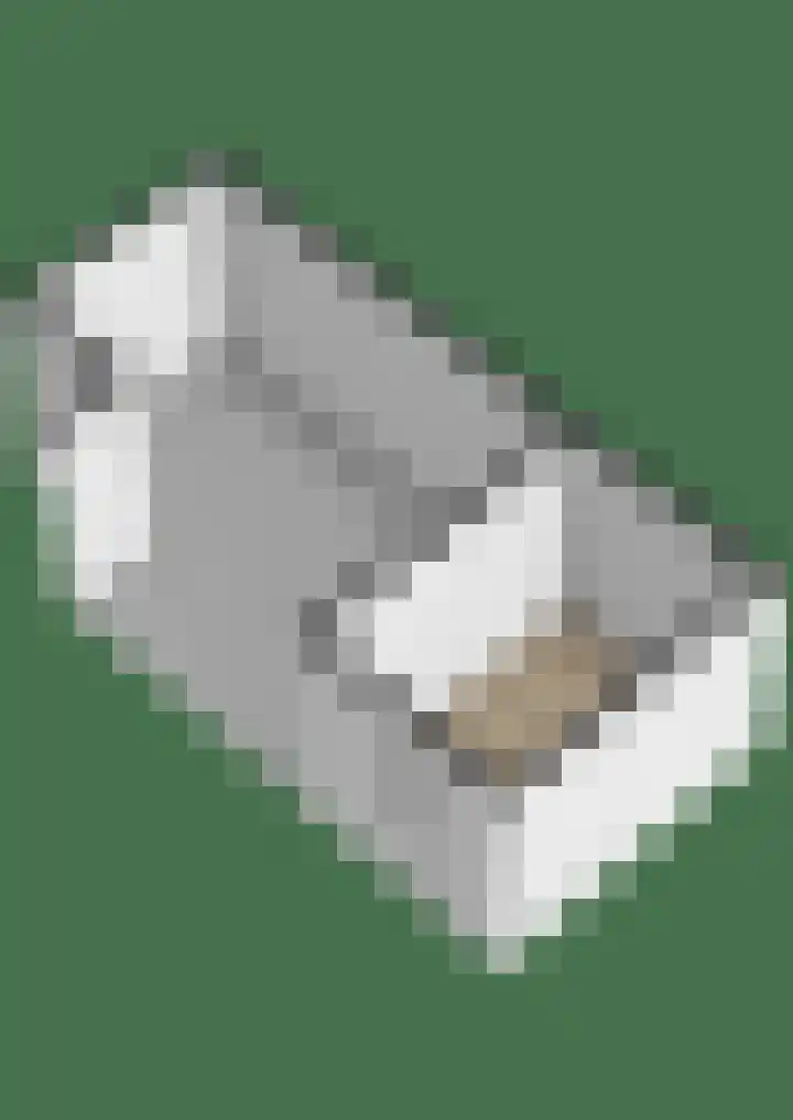 Timmerliedengilde 58 Dronten thumbnail 67