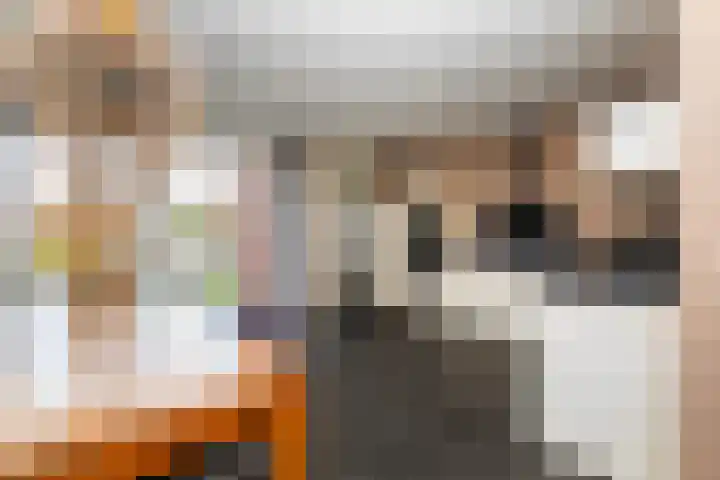 Timmerliedengilde 8 Dronten thumbnail 12