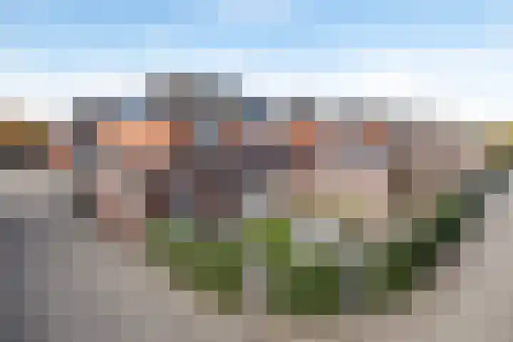 Timmerliedengilde 8 Dronten foto 2