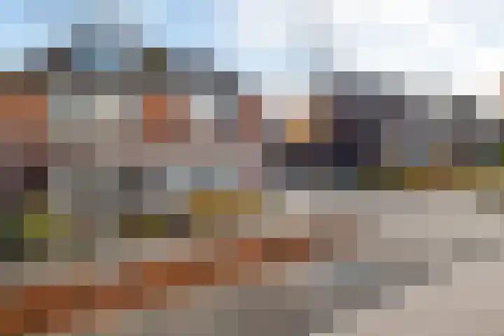 Timmerliedengilde 8 Dronten thumbnail 31