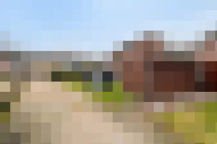 Timmerliedengilde 8 Dronten thumbnail 32