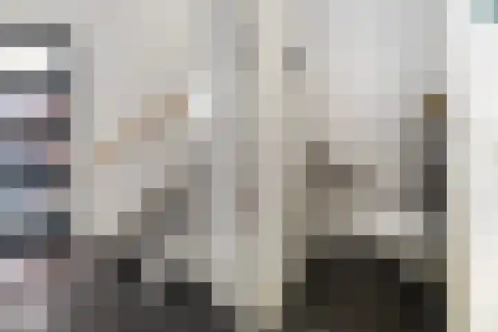 Timmerliedengilde 8 Dronten thumbnail 8