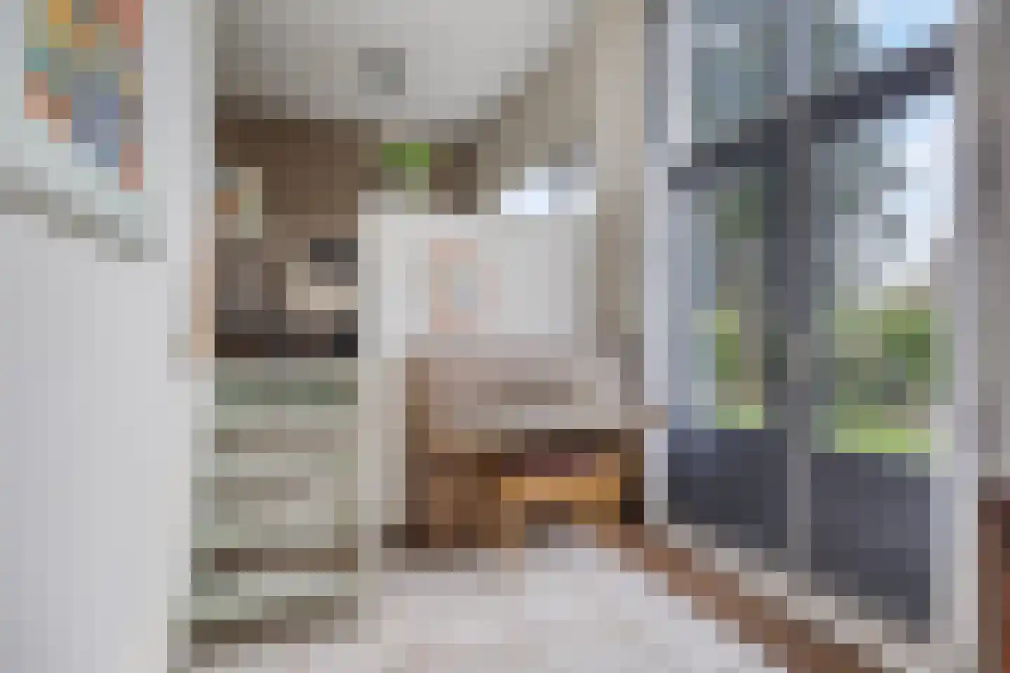 Timmermansingel 5 Zutphen thumbnail 12