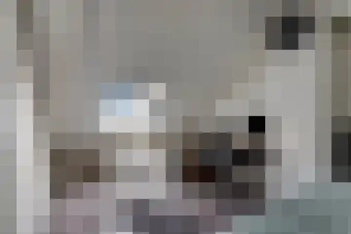 Timmermansingel 5 Zutphen thumbnail 15
