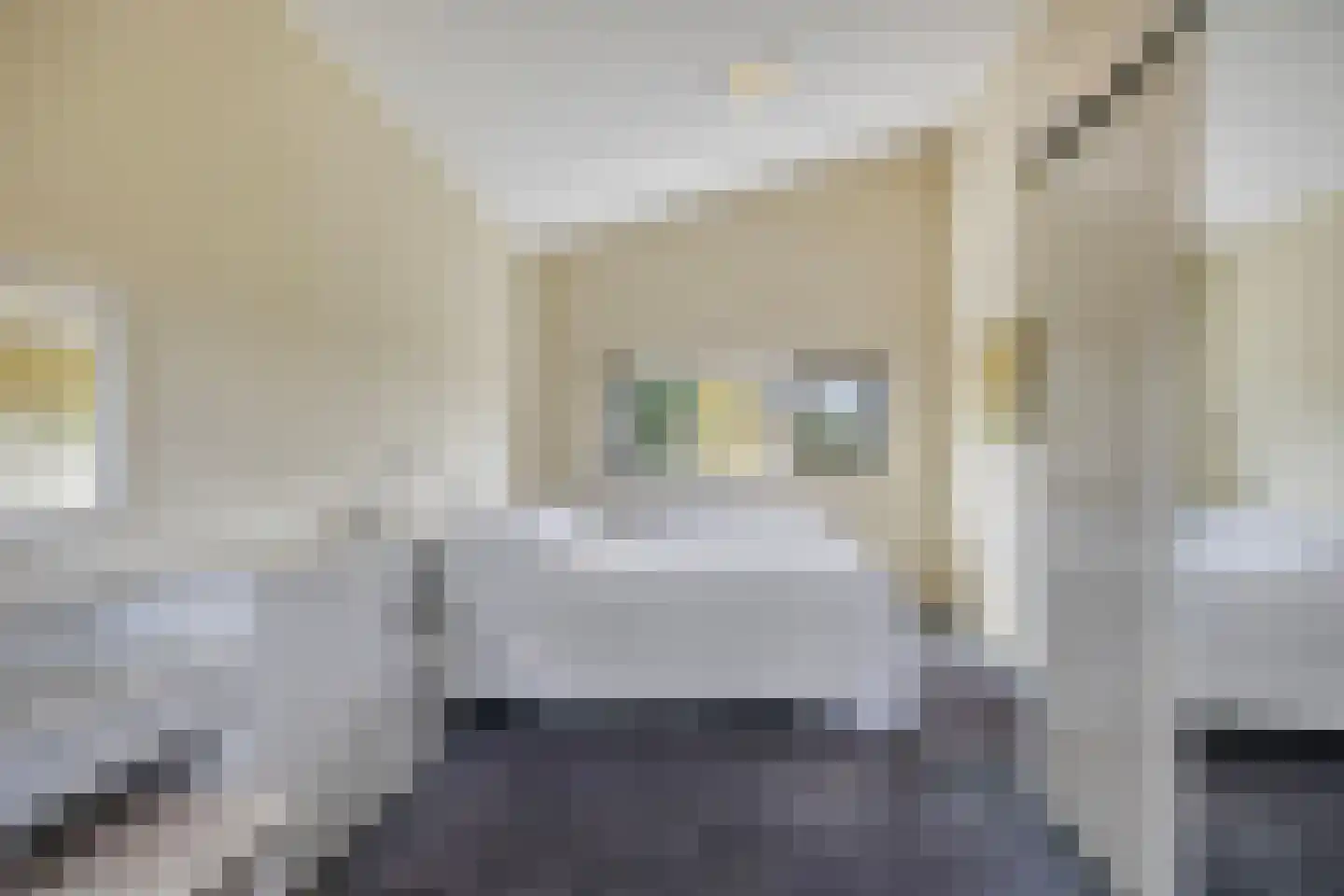 Timmermansingel 5 Zutphen thumbnail 21