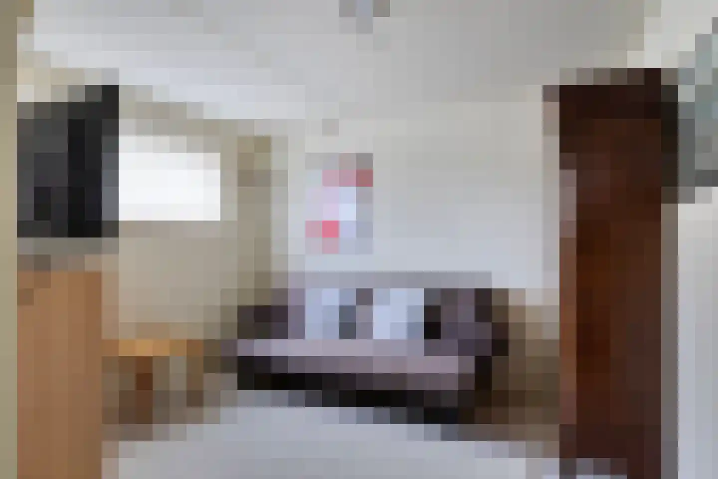 Timmermansingel 5 Zutphen thumbnail 31