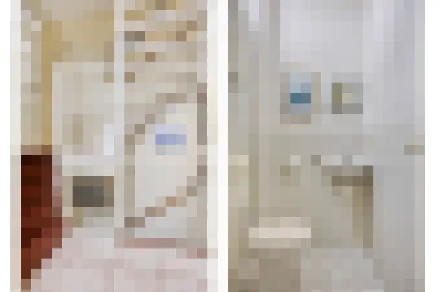 Timmermansingel 5 Zutphen thumbnail 5