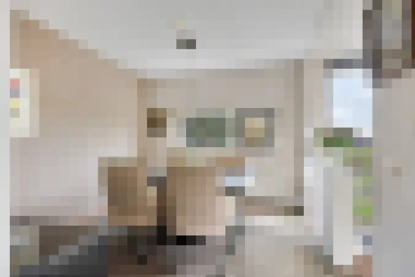 Timmermansingel 5 Zutphen thumbnail 9
