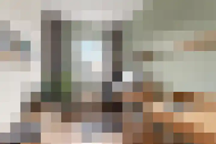 Timmersteek 2 Almere thumbnail 20