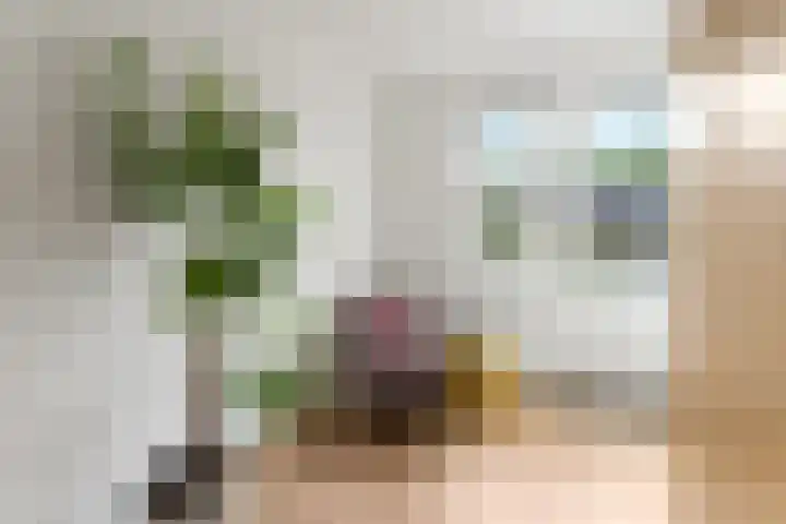 Timmersteek 2 Almere thumbnail 21