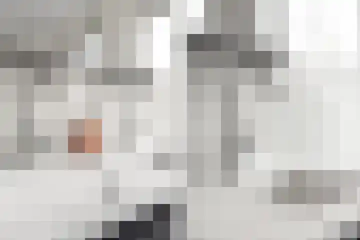 Timmersteek 2 Almere thumbnail 26