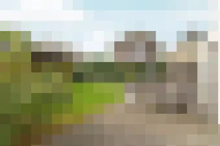 Timmersteek 2 Almere thumbnail 37