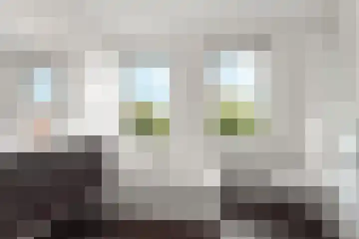 Timmersteek 2 Almere thumbnail 4