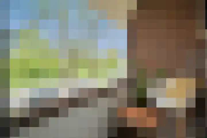 Timorlaan 23 Den Helder thumbnail 25