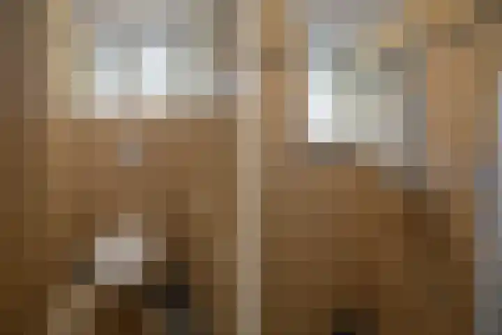 Timorlaan 23 Den Helder thumbnail 27