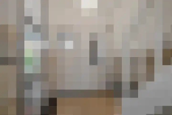 Timorlaan 23 Den Helder thumbnail 4