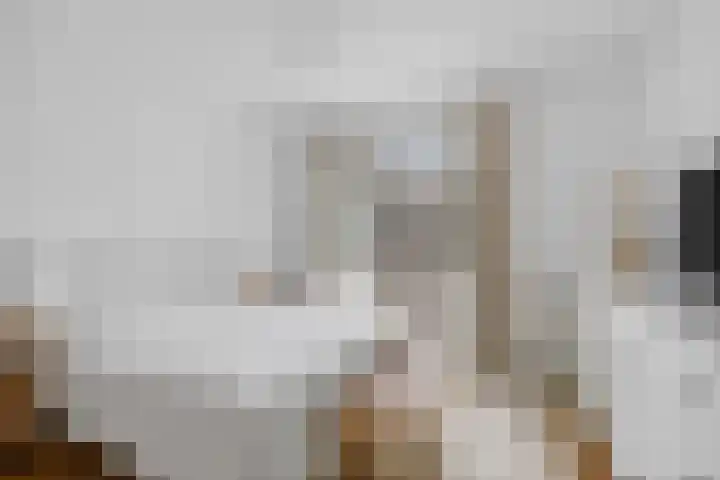 Timorstraat 1 2 Amsterdam thumbnail 13