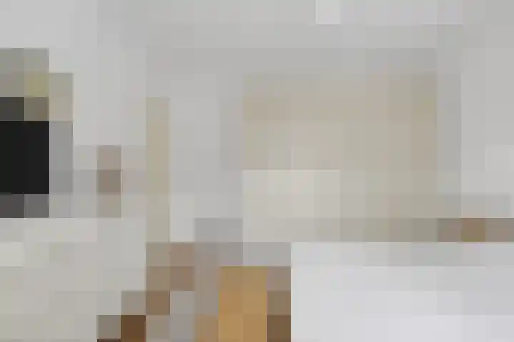Timorstraat 1 2 Amsterdam thumbnail 18