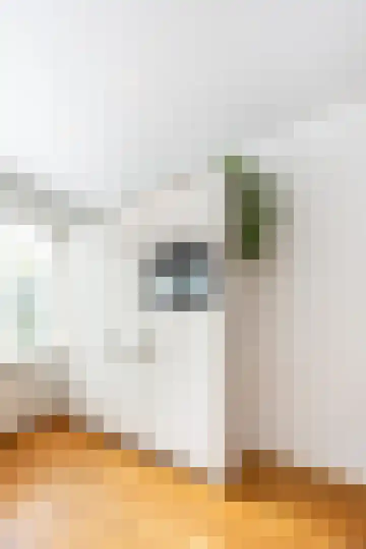 Timorstraat 17 Heemstede thumbnail 11