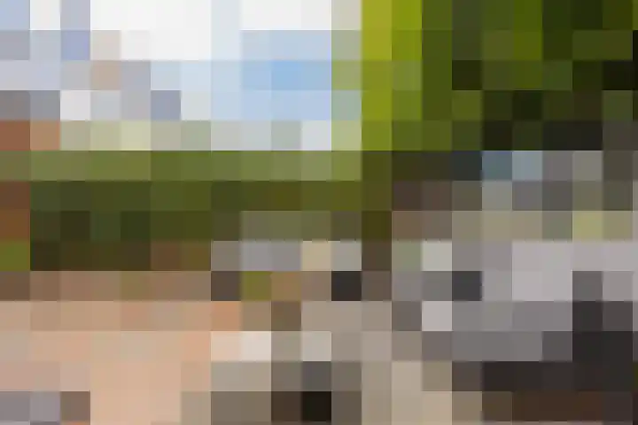 Timorstraat 17 Heemstede thumbnail 37