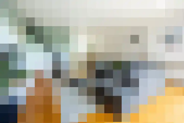 Timorstraat 17 Heemstede thumbnail 4