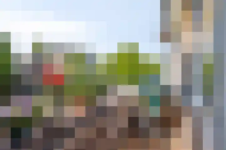 Timorstraat 32 Nijmegen thumbnail 18