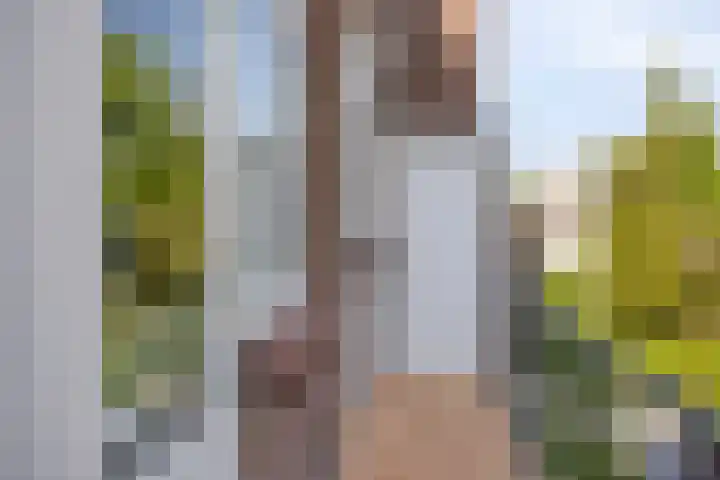 Timorstraat 32 Nijmegen thumbnail 19