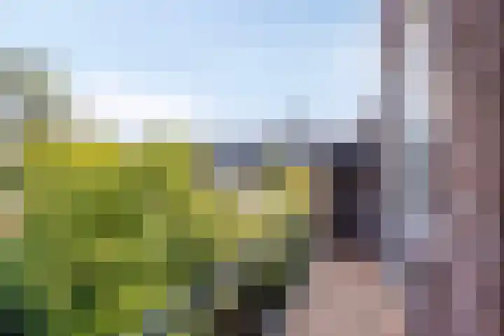 Timorstraat 32 Nijmegen thumbnail 20