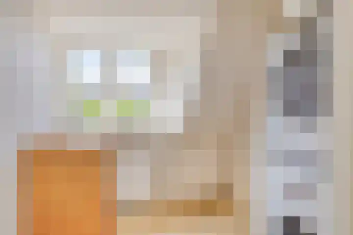 Timorstraat 32 Nijmegen thumbnail 32
