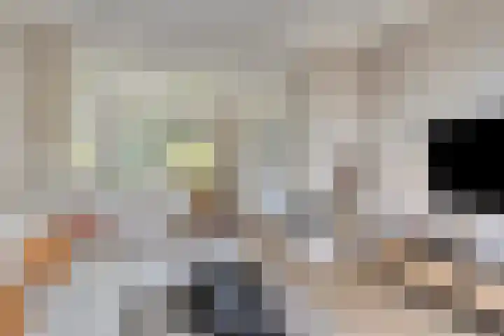 Timorstraat 32 Nijmegen thumbnail 5