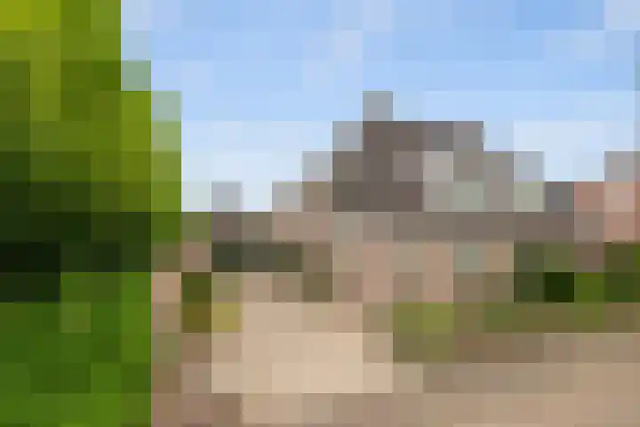Timp 8 Didam thumbnail 42
