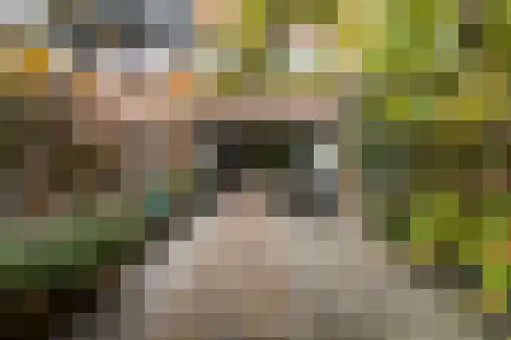 Tinbergendreef 4 Maassluis thumbnail 30