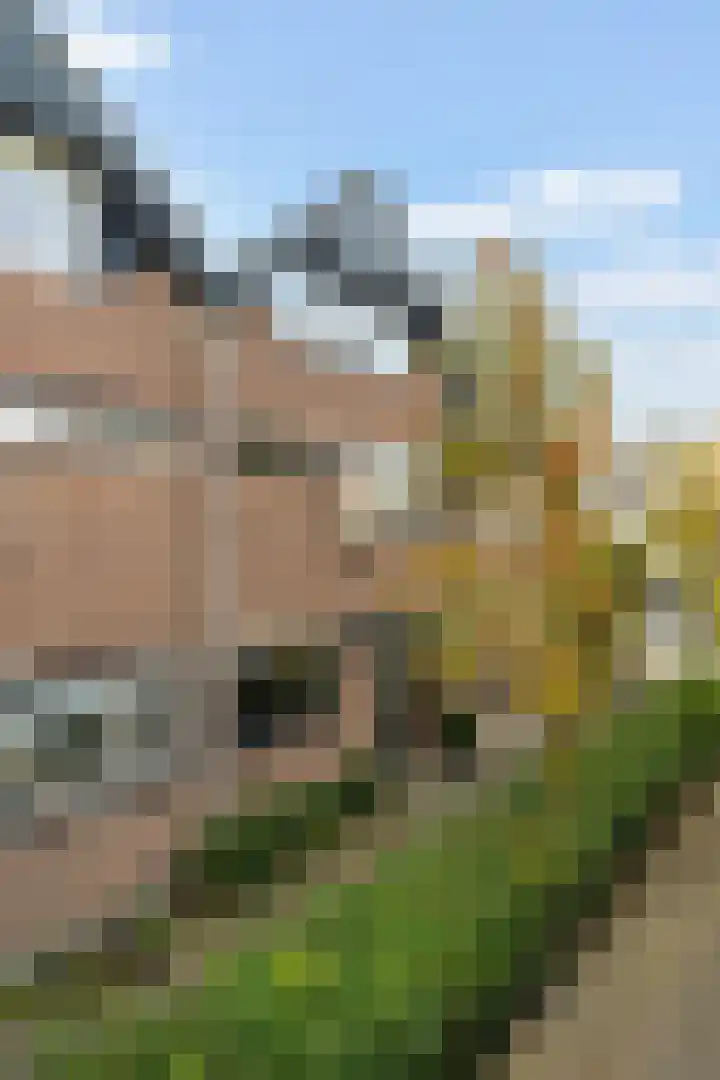 Tinbergendreef 4 Maassluis thumbnail 34