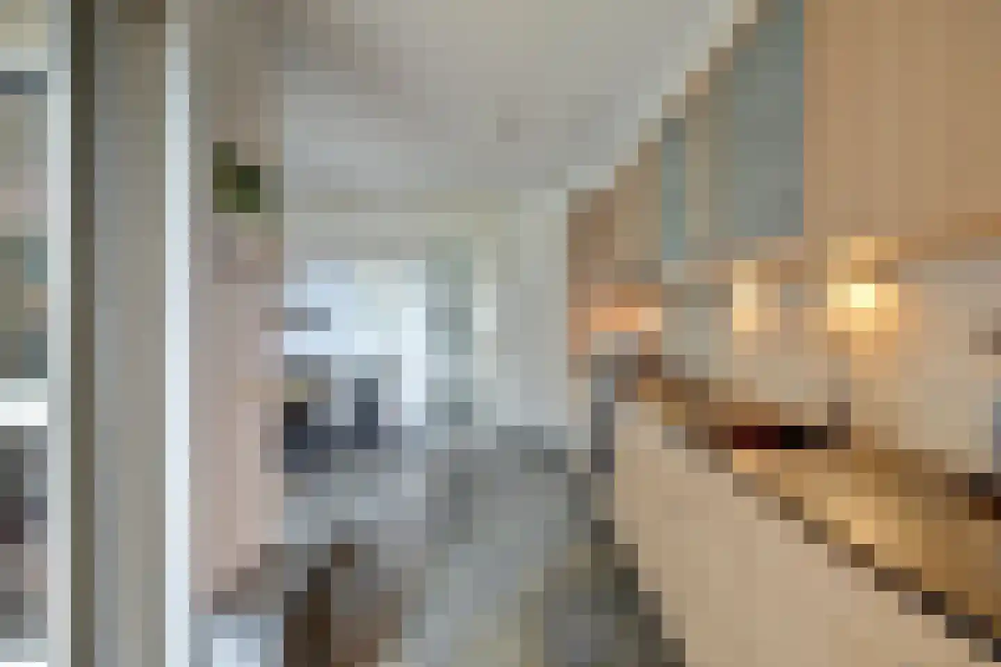 Tinnegietersgilde 17 Dronten thumbnail 13