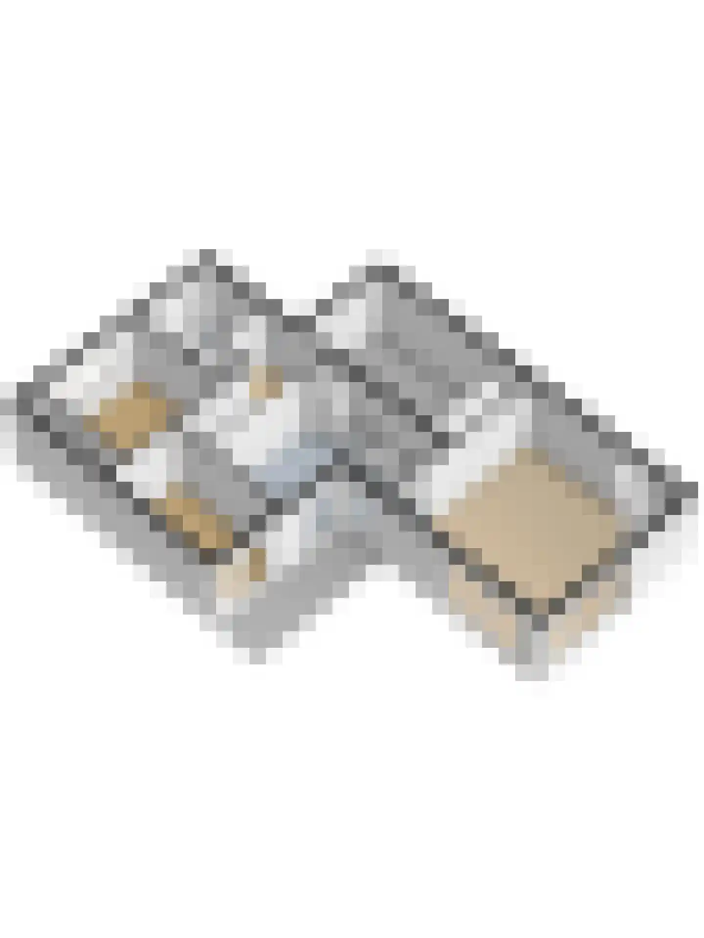 Tinnegietersgilde 17 Dronten thumbnail 49