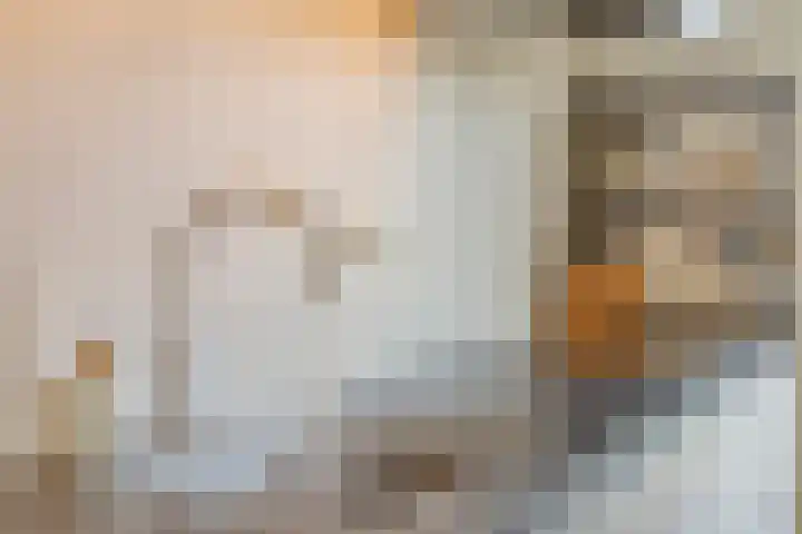 Tintel 7 Beuningen Gld thumbnail 14
