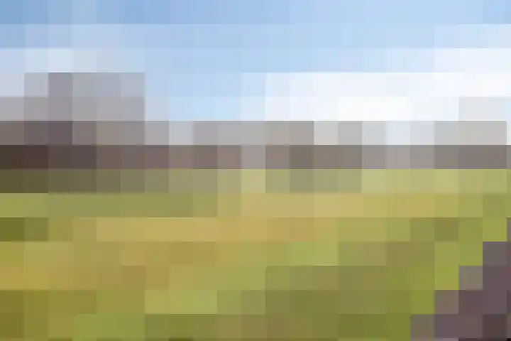 Tintel 7 Beuningen Gld thumbnail 37